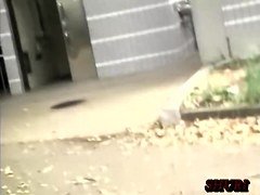 Charming Japanese girl boob sharked in the public toilet