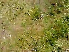 Dickflash – Jerking for a topless sunbather .360p