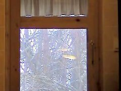 is working shooting nude females through the window