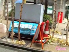 Japan sharking attack with amiable cute bimbo being caught off her guard