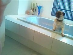 SPYCAMTEEN teen 18+ TIGHT ASS CAUGHT ON CAM IN BATHROOM