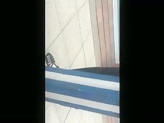 vdxbdxbdvd