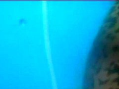 Wild Beach, Amateur, Video Unique